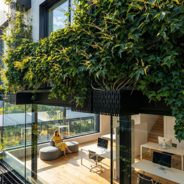 EXOSHELL Metallkonstruktion zur FassadenbegrÃ¼nung.