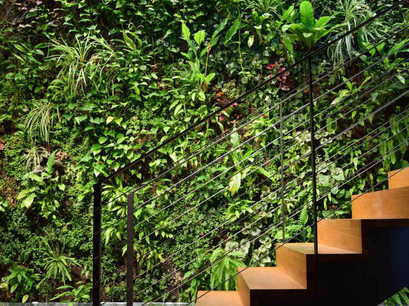 Vor einer begrÃ¼nten Wand befindet sich eine rostfarbene Treppe, die eine Etage hÃ¶her fÃ¼hrt.